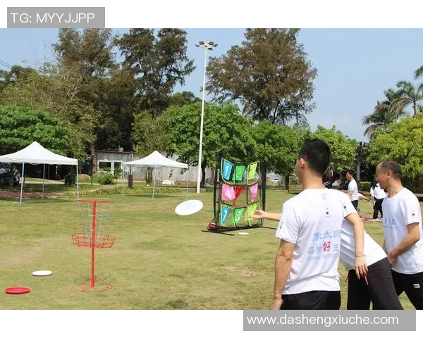 飞盘精神：深入分析成都飞盘队的心理素质与团队协作能力MBA