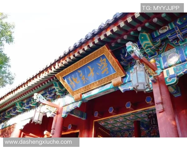 中南大学与北京大学篮球赛精彩直播全程回顾与分析